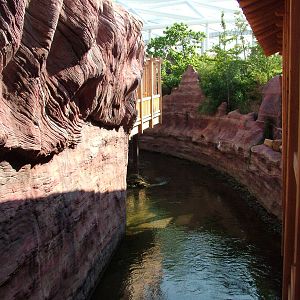 Theming around the entrance - Gondwanaland, Leipzig, 02/09/11