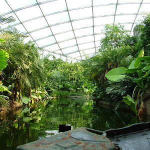 View from Boat Ride - Gondwanaland, Leipzig, 02/09/11