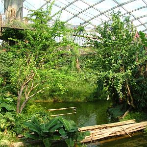 View from Boat Ride - Gondwanaland, Leipzig, 02/09/11