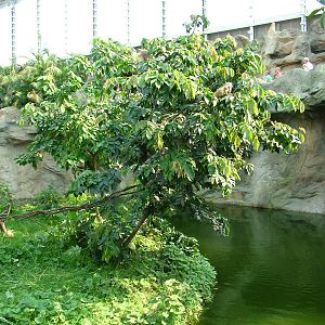 View from Boat Ride - Gondwanaland, Leipzig, 02/09/11