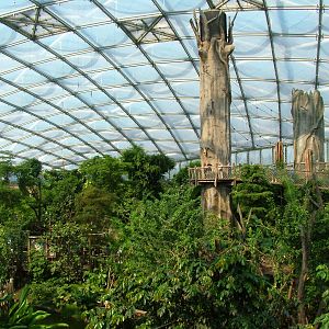 Gondwanaland, Leipzig, 02/09/11