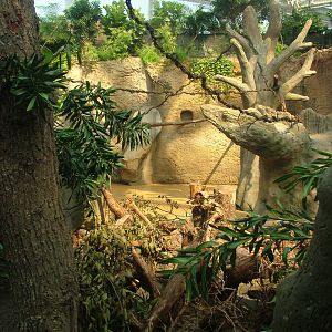 Hippo/Guenon Exhibit - Gondwanaland, Leipzig, 02/09/11