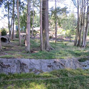 Red Wolf Woods - New In 2010