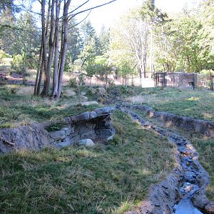 Red Wolf Woods - New In 2010