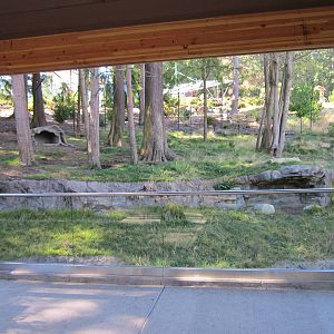 Red Wolf Woods - New In 2010