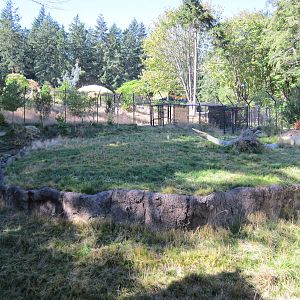 Red Wolf Woods - New In 2010