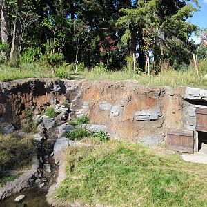 Red Wolf Woods - New In 2010