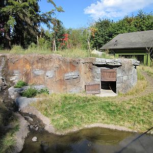 Red Wolf Woods - New In 2010