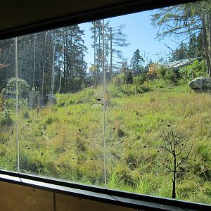 Red Wolf Woods - New In 2010