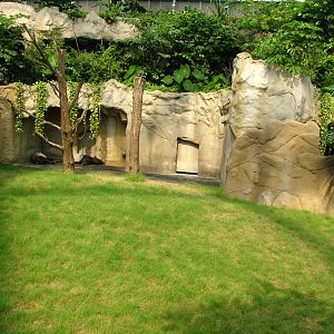Malayan Tapir Exhibit - Gondwanaland, Leipzig, 02/09/11