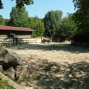 Rhino Paddock at Leipzig, 02/09/11
