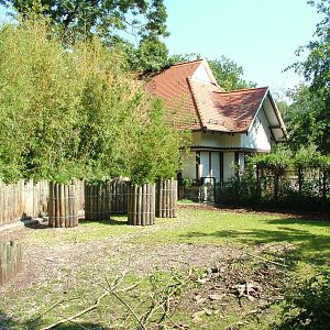 Anoa Exhibit at Leipzig, 02/09/11