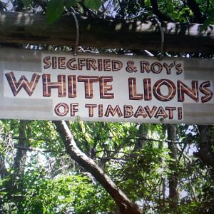 White Lions entrance