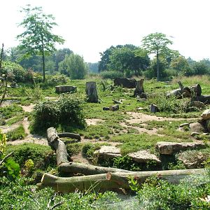 Hyaena Exhibit at Leipzig, 02/09/11