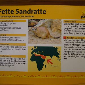 Signage Example at Leipzig, 02/09/11