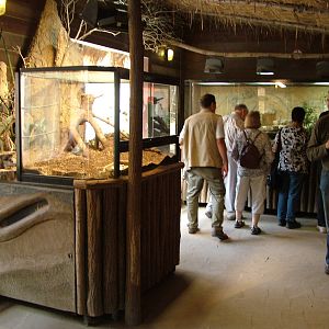 Giraffe House Interior at Leipzig, 02/09/11