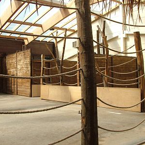 Giraffe House Interior at Leipzig, 02/09/11