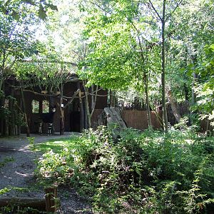 Okapi and Duiker Exhibit at Leipzig, 02/09/11
