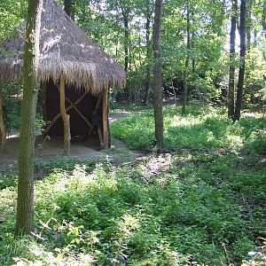 Okapi Exhibit at Leipzig, 02/09/11