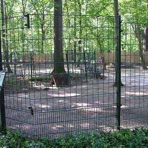 Deer Paddock at Leipzig, 02/09/11