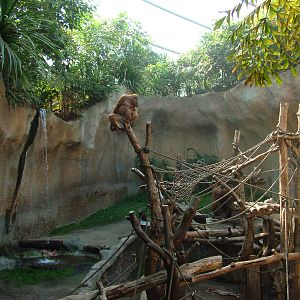 Pongoland Interior at Leipzig, 02/09/11