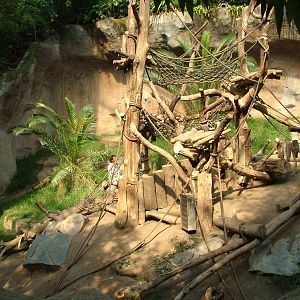 Pongoland Interior at Leipzig, 02/09/11