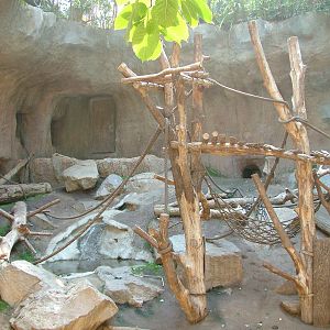 Pongoland Interior at Leipzig, 02/09/11