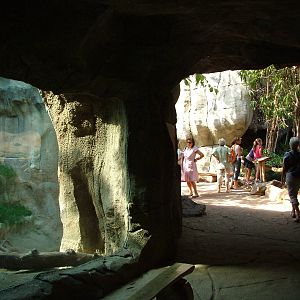 Pongoland Interior at Leipzig, 02/09/11