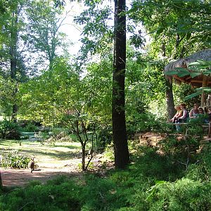 Australian Walkthrough at Leipzig, 02/09/11