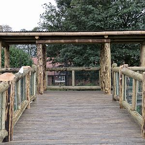 Tiger Viewing Platform - 12/10/2011