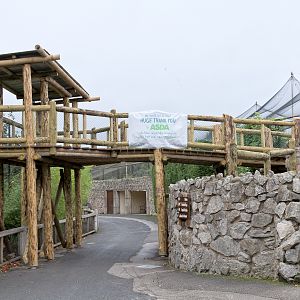 Tiger Viewing Platform - 12/10/2011