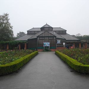 Tropical World Building - 12/10/2011