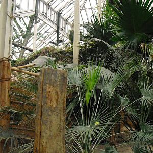 Step Ashore - 12/10/2011