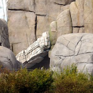 Construction of the new Eismeer at Hamburg