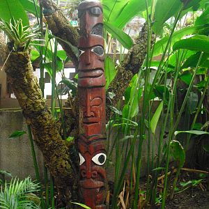 Tropical World - 12/10/2011