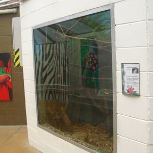 Golden Lion Tamarin Enclosure - 12/10/2011