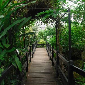 Butterfly House - 12/10/2011