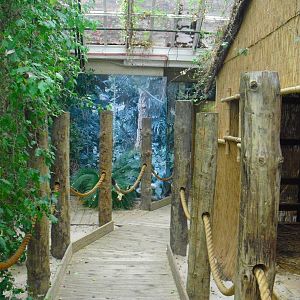 Step Ashore  -12/10/2011