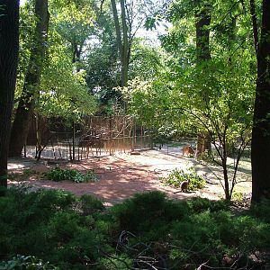 Australian Walkthrough at Leipzig, 02/09/11