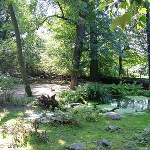 Australian Walkthrough at Leipzig, 02/09/11