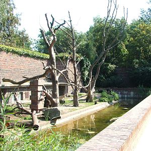 Macaque Exhibit at Leipzig, 02/09/11