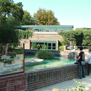 Penguin Pool at Leipzig, 02/09/11