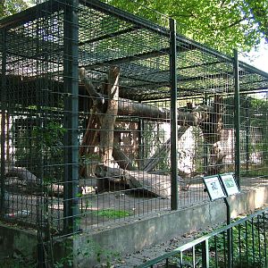 Leopard Cages at Leipzig, 02/09/11
