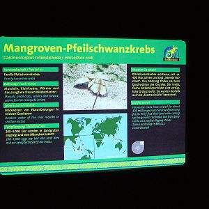 Signage Example - Gondwanaland, Leipzig, 02/09/11