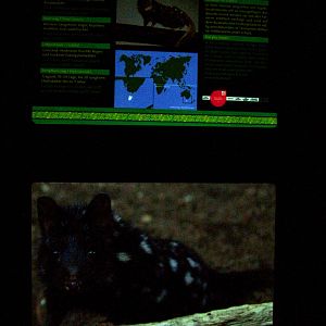 Signage Example - Gondwanaland, Leipzig, 02/09/11