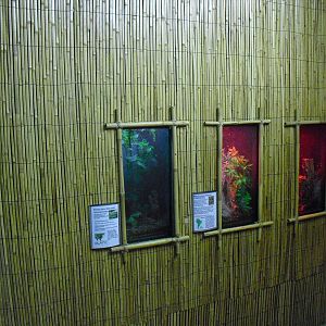 Insect Displays - 12/10/2011