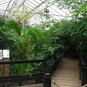 Butterfly House - 12/10/2011