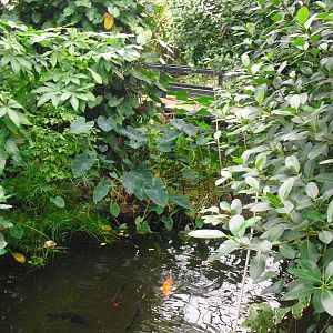 Butterfly House - 12/10/2011