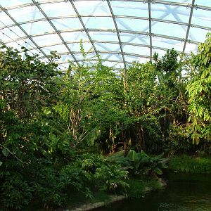 Gondwanaland, Leipzig, 02/09/11