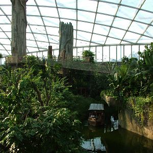 Gondwanaland, Leipzig, 02/09/11